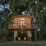 River Treehouse