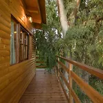 River Treehouse