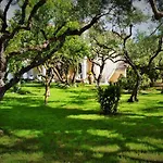 Soulis Studios