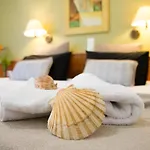 Spira Studios & Apartments In The Heart Of Laganas