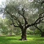 Castelli Hotel-Adults Only