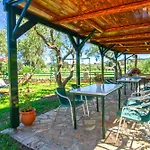 Ammos Zante Villas
