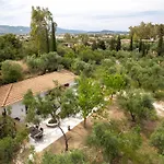 Olive House