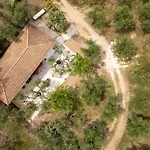 Olive House