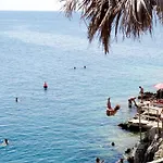 Kalo Ampeli