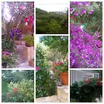 Rosemary Holiday Home