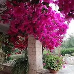 Casa Nostos