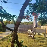 Olive Holiday Home