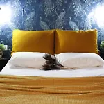 Katoi Suite