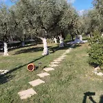 Jenny'S House