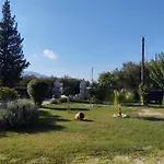 Jenny'S House