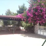 Zante Yliessa Hotel