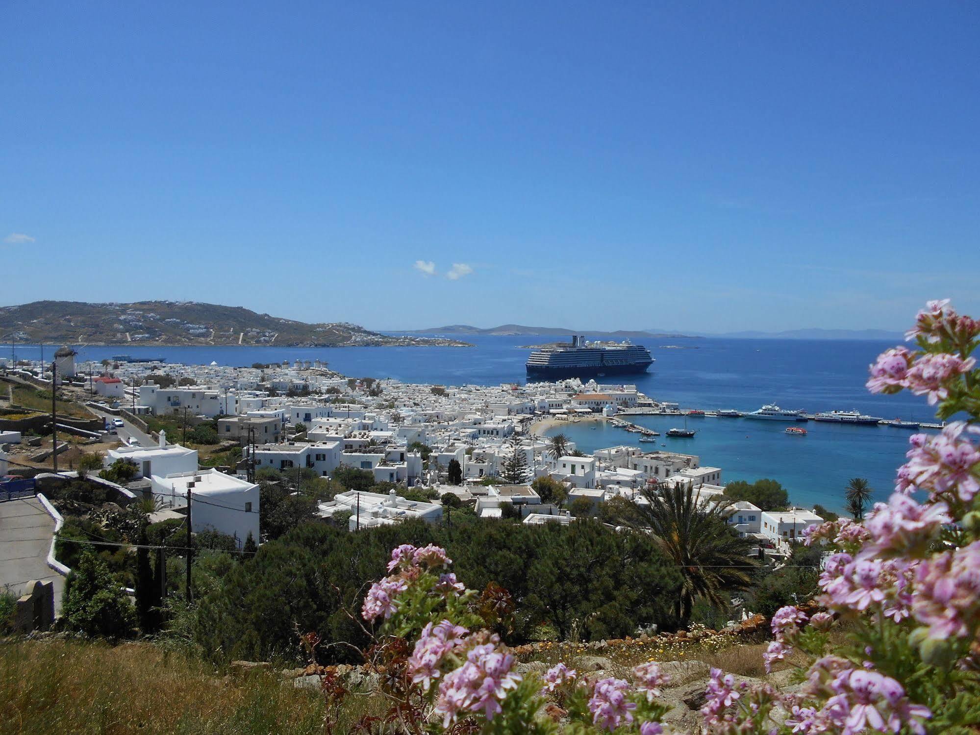 La Veranda Of Mykonos Hotel 2*