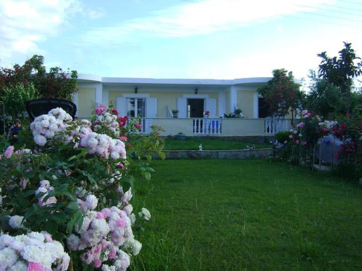 Appartement Zante Summer Retreats - Marietta's Apartment2 Drosia
