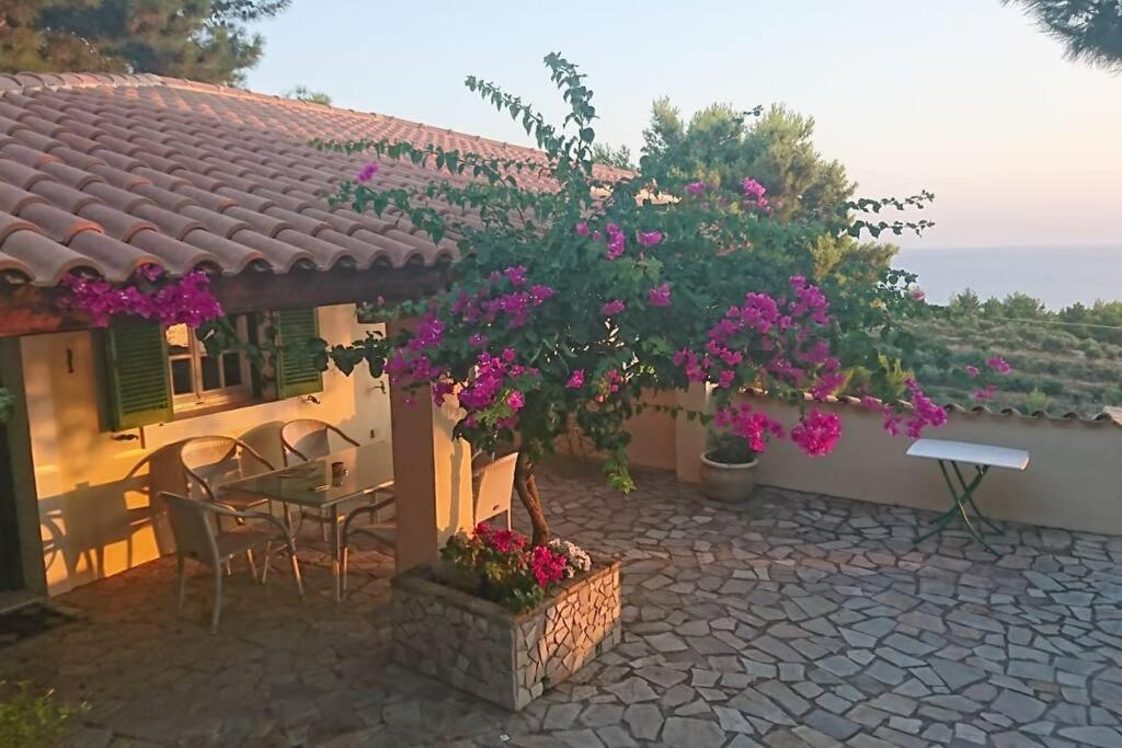 Σπίτι διακοπών Angela, Panoramablick Uebers Ανω Βασιλικος