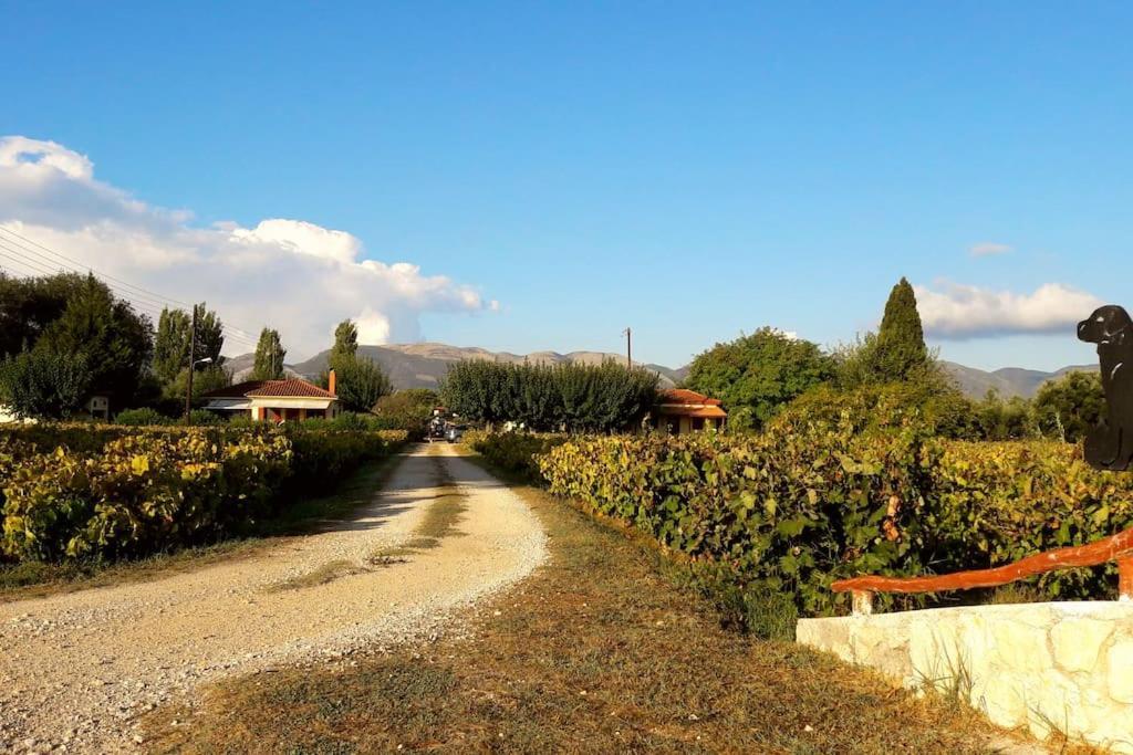 Authentic In Zakynthos Holiday home *
